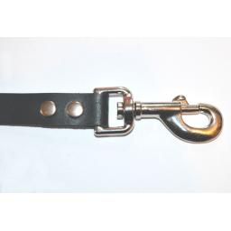 black leash (2).jpg
