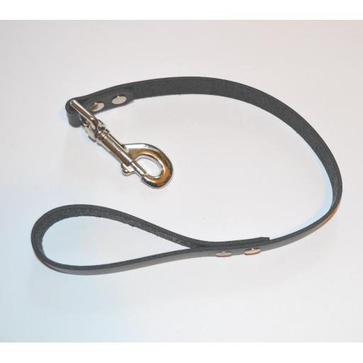 black leash (1).jpg