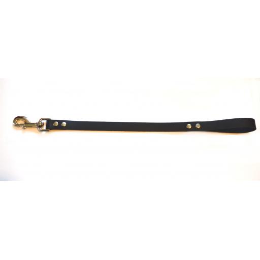black leash (4).jpg