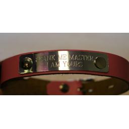 Lockable day collar (1).png