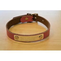 Lockable day collar (4).png