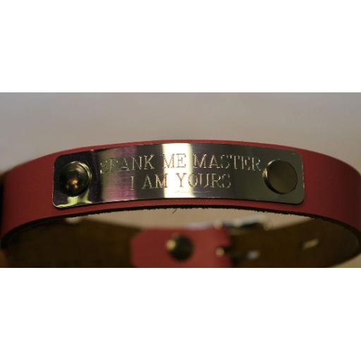 Lockable day collar (1).png