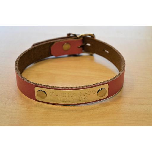 Lockable day collar (4).png