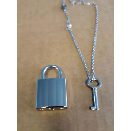 silver lock 1.jpg