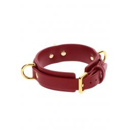 D Ring Collar deluxe (2).jpg