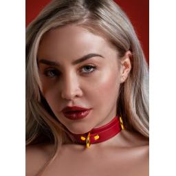 D Ring Collar deluxe (4).jpg