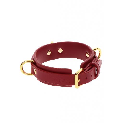 D Ring Collar deluxe (2).jpg