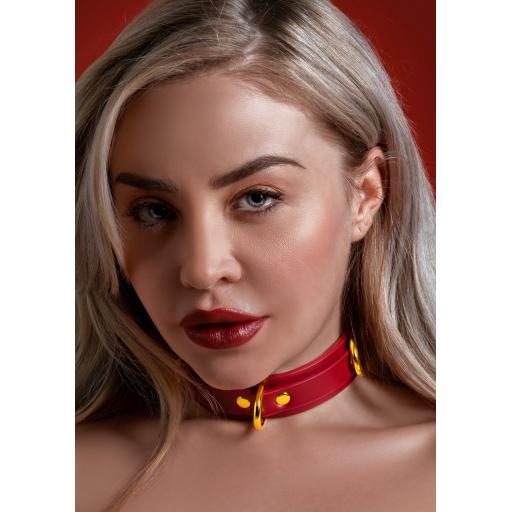 D Ring Collar deluxe from Taboom
