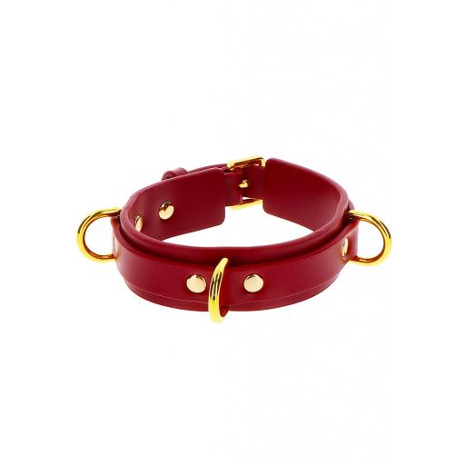 D Ring Collar deluxe (1).jpg