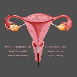 pink kegel egg (4).jpg