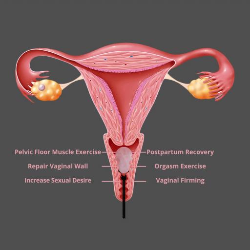 pink kegel egg (4).jpg
