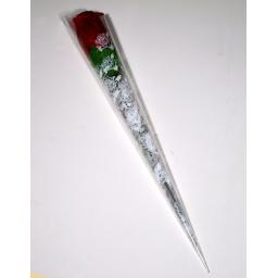 rose 6.jpg