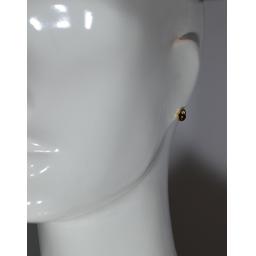 e2.jpg