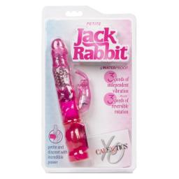Jack Rabbit (3).jpg
