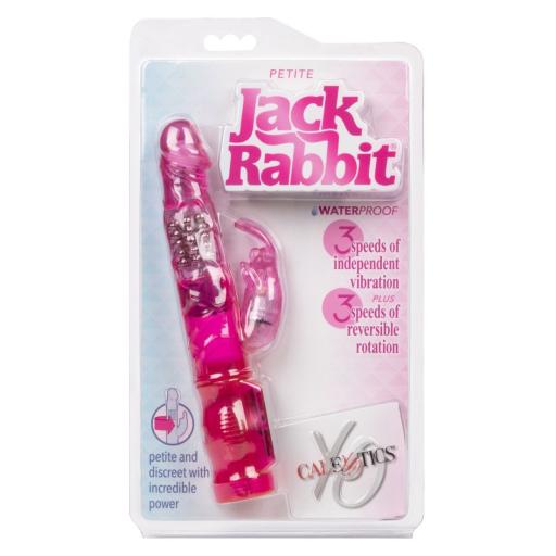 Jack Rabbit (3).jpg