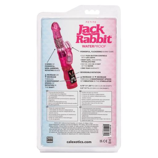 Jack Rabbit (4).jpg
