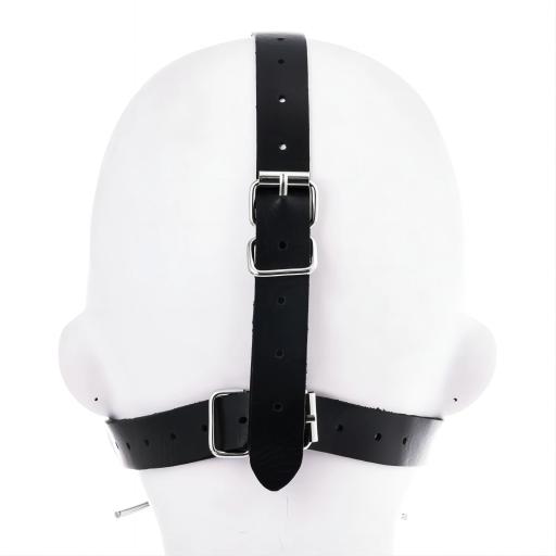 Metal Spider Mouth Gag (1).jpg