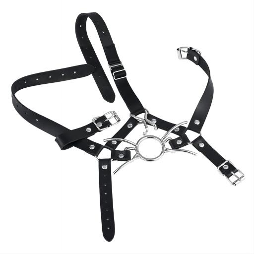 Metal Spider Mouth Gag (2).jpg