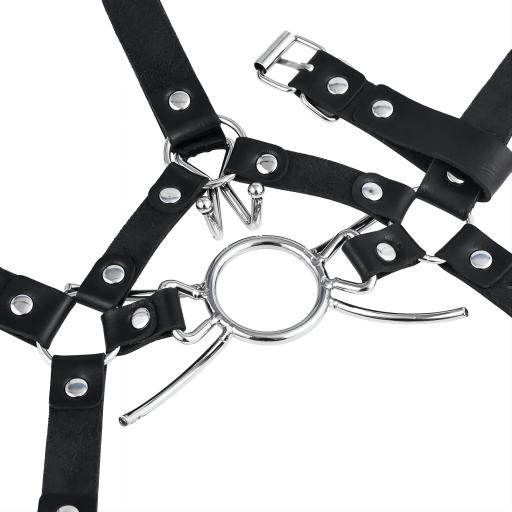 Metal Spider Mouth Gag (5).jpg