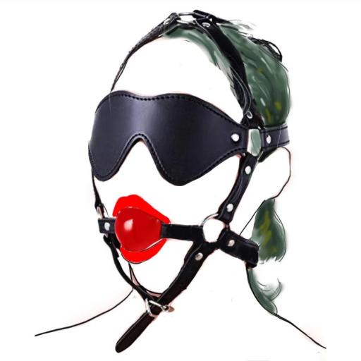 Blindfold Ball Gag