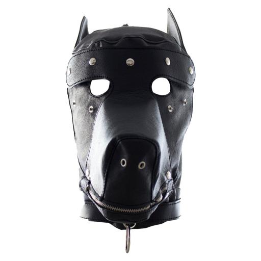 Bound to Please Dog Mask (2).jpg
