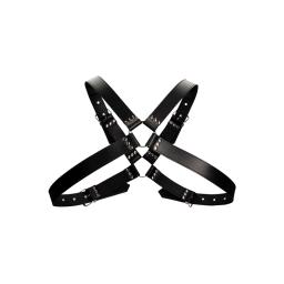 Leather Harness with Large Buckle  (5).jpg