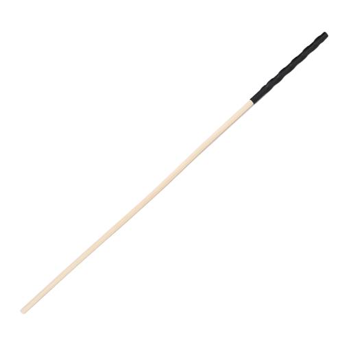 Spanking Cane