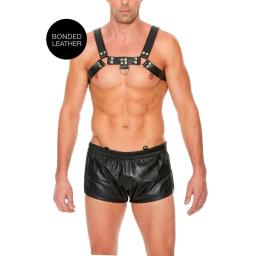 Bulldog Leather Chest Harness