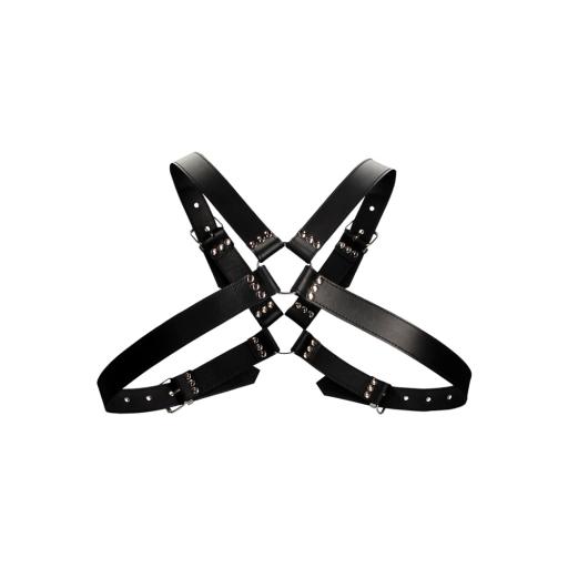Leather Harness with Large Buckle  (5).jpg