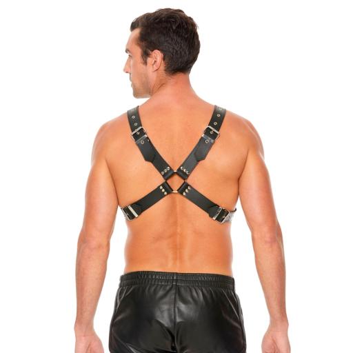 Leather Harness with Large Buckle  (1).jpg