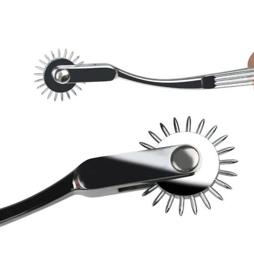 stainless steel pin wheel (3).jpg