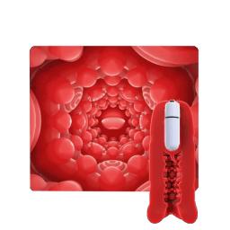 Male Suction Masturbator with Vibrating Bullet (2).jpg