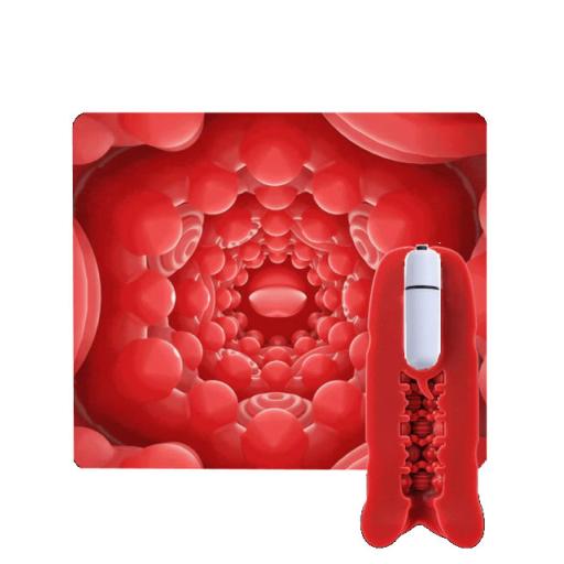 Male Suction Masturbator with Vibrating Bullet (2).jpg