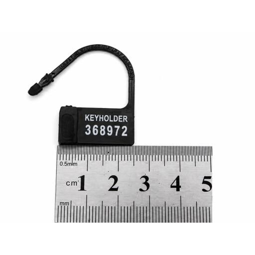 disposable plastic chastity cage lock (1).png