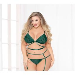 Kiss Of Envy Bra Set queen front.jpg