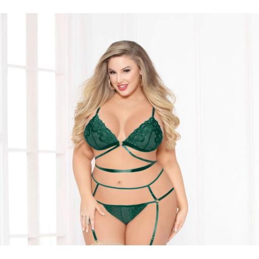 Kiss Of Envy Bra Set queen front.jpg