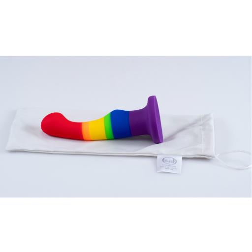 Safe Sex Anti-Bacterial Toy Bag Medium with larger toy.jpg