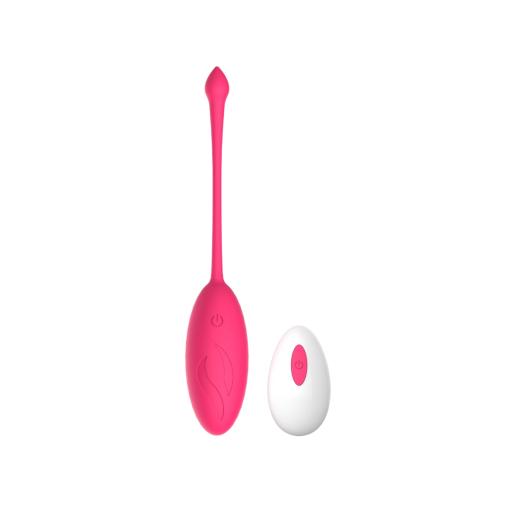 Mina Astral 10 Function Remote Control Love Egg